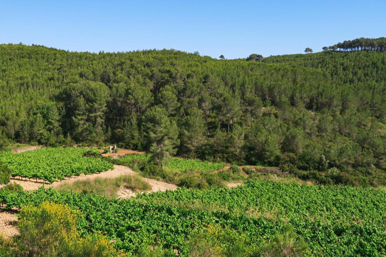 Masia Pou De La Vinya Sitges Buitenkant foto